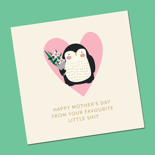 Funny mothers day card, funny birthday card for mum, mother and daughter card, adult greeting card