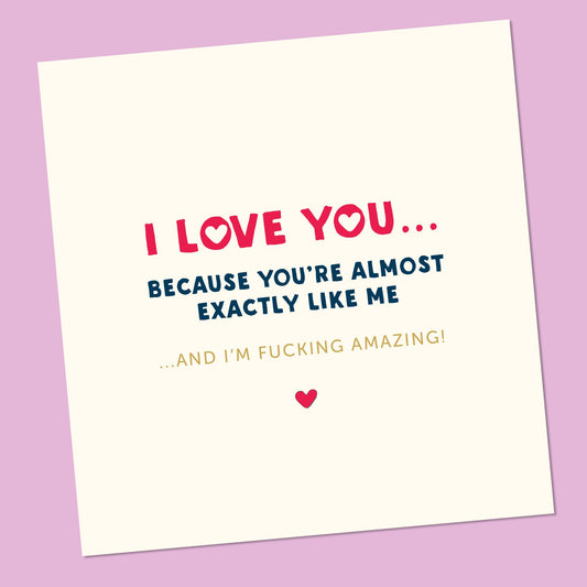 Funny Valentines card, For Boyfriend, girlfriend Funny Valentine card, Wife, Husband, Fiancé, Funny Valentine card for him, Card